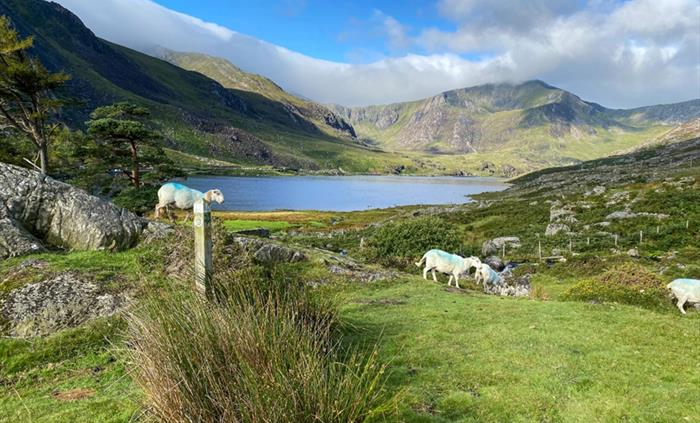 Snowdonia Slate Trail